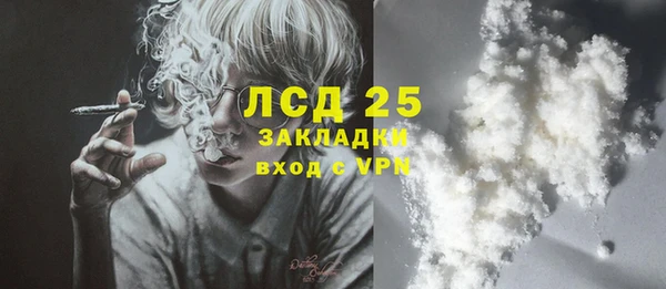 дживик Абинск