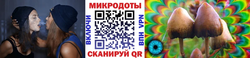 Галлюциногенные грибы мицелий  Зеленогорск 